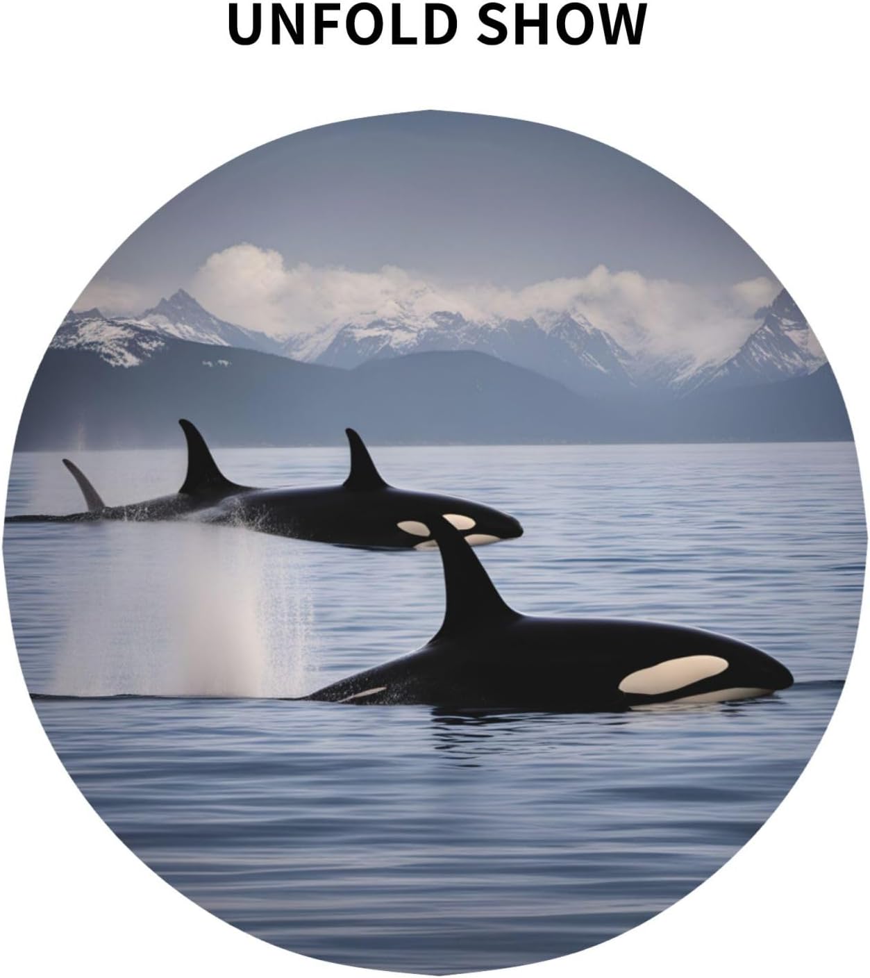 Killer Whales Swim Along Print Wrinkle Free Dining Table Cover for Birthday Party Farmhouse Tablecloths Up to 60 x 60 Inches