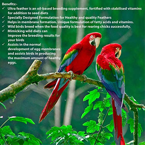 Image of Pet Care International (PCI) Bird Supplement Ultra Feather || Provide Healthy Feather for Healthy Bird Wings || (100ML, Ultra Feather)