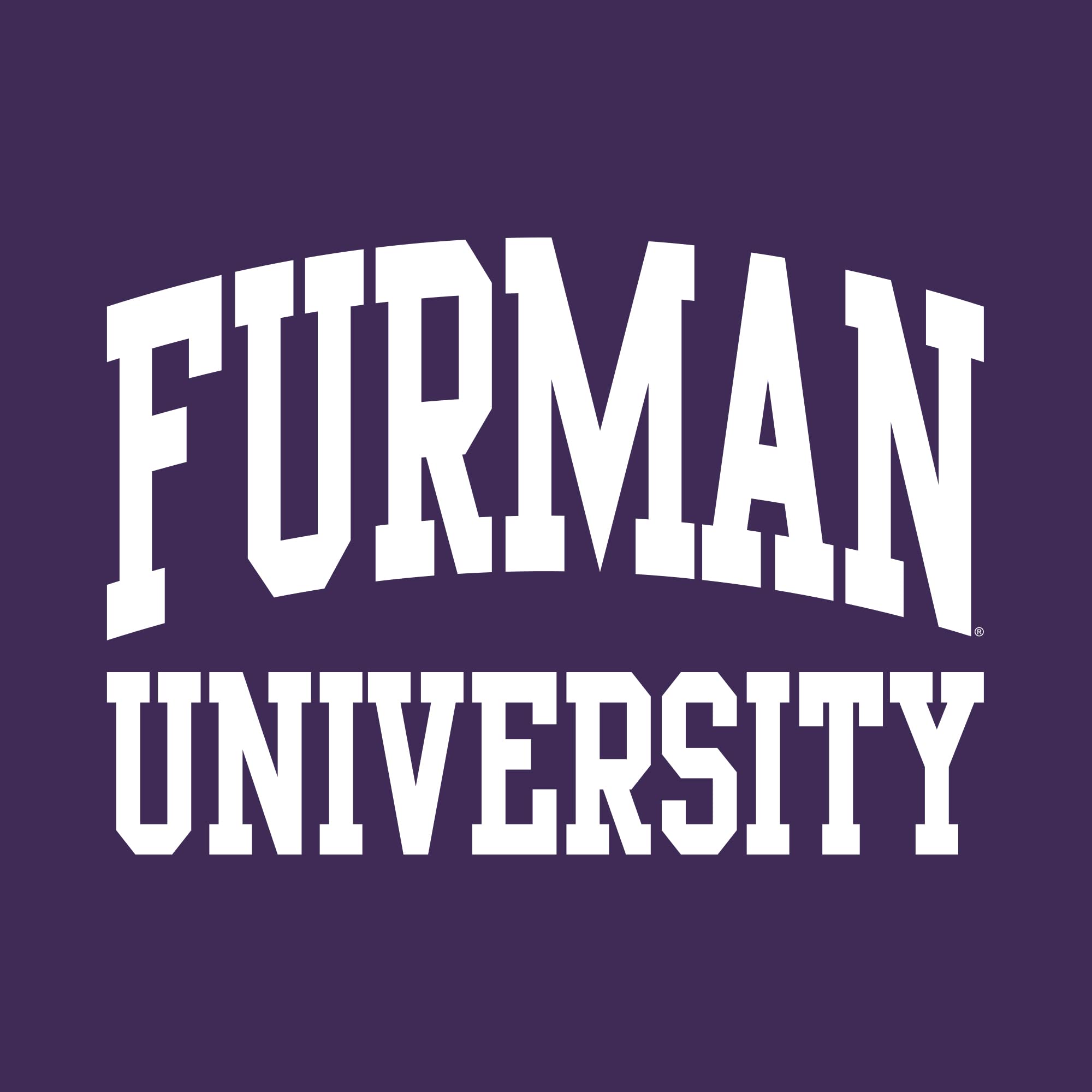 UGP Campus Apparel AS46 - Furman University Paladins Front Back Print T Shirt - Small - Purple