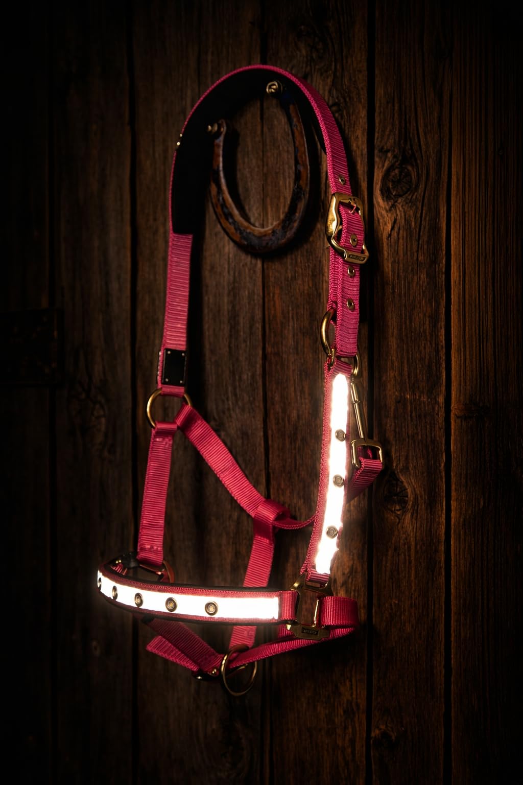 Cavezza luminosa di alta qualità per stalla, cavezza luminosa con LED in nylon (Cob/VB, rosa/oro)