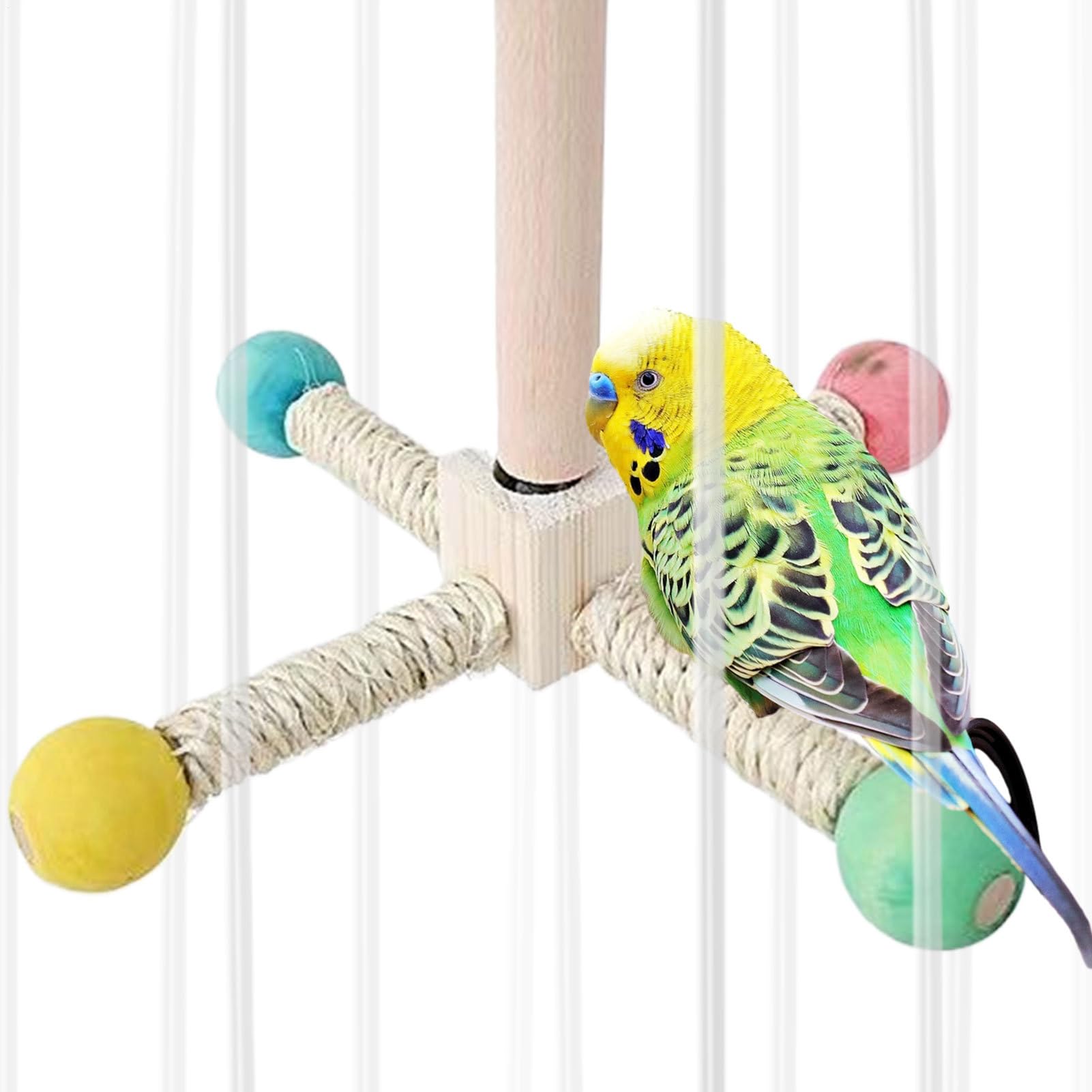 Perchoir à oiseaux dynamique en bois pour le bien-être des perruches en cage