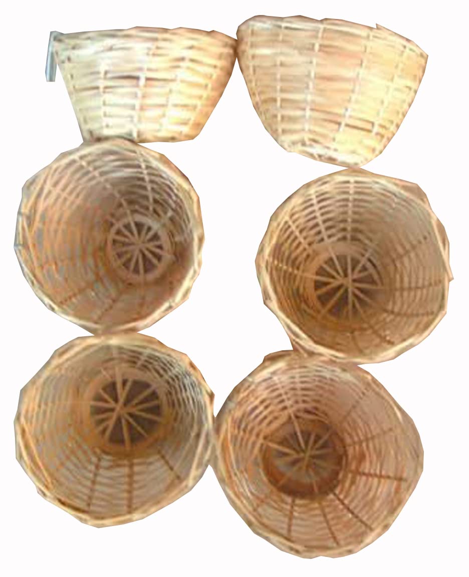 Finch Bird Bamboo Opened Bird Nest Lot of 6--Medium