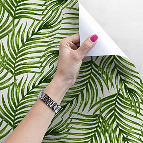 Papier peint feuille de palmier en impression latex durable et lessivable - 4
