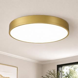 20 Inch Gold LED Flush Mount Ceiling Light, 48W 5CCT Dimmable Ceiling Light Fixture for Kitchen Lighting Fixtures Ceiling, Bedroom & Living Room