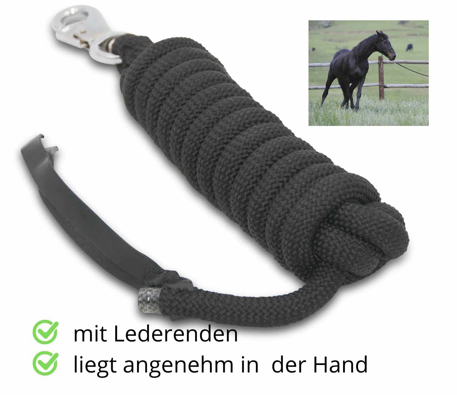 AMKA Bodenarbeitsseil Bodenleine Führseil 3,2 m mit Bull Snap