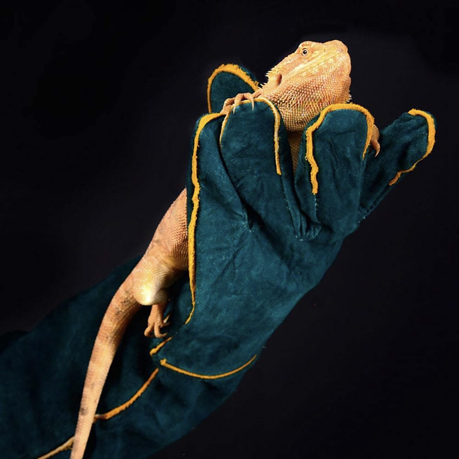 Anti-Morsure Gants de Manutention pour Animal, 40CM Gants de Travail en Cuir Polyvalents pour Le soudage, Le Jardinage ou la Manipulation de Chiens/Chats/Oiseaux/Lézards/Faucons/Reptiles