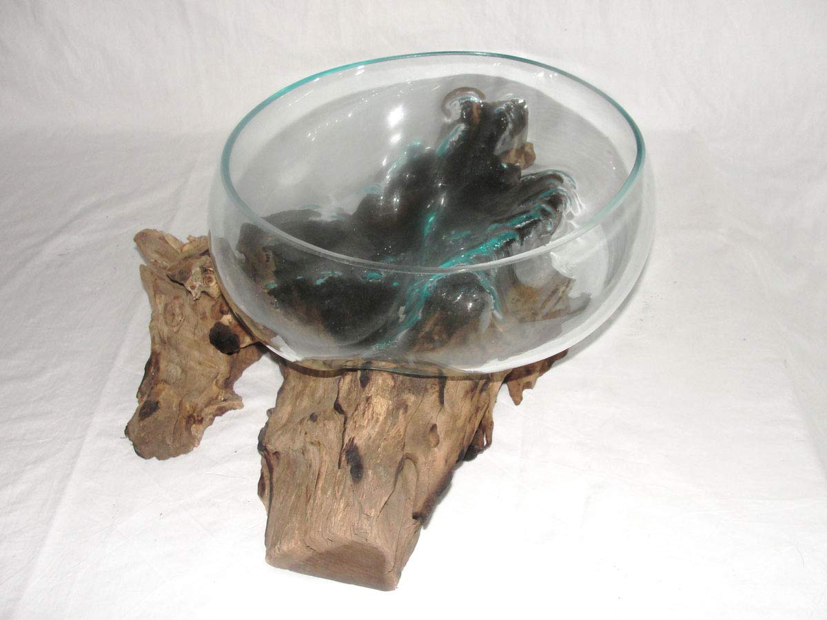 Deko Glasschale Ø 30 cm Obstschale Blumenschale auf Wurzel-Holz, Vase Schale mit Treib-Holz Dekovase Dekoschale charakteristische Dekoration