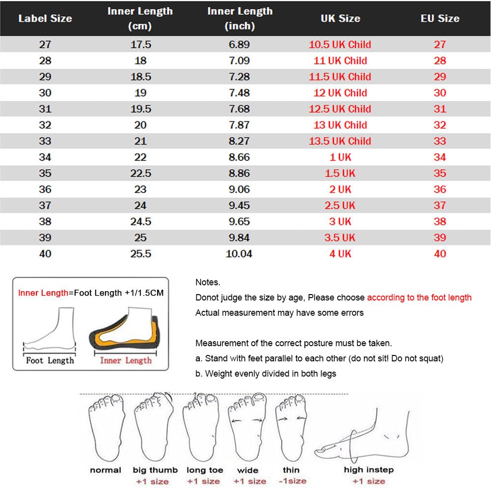 ENEN Chaussure a Roulette, Chaussures a roulettes Retractable Garçons Basket Roulette pour Enfant Fille - Roller 2 Roues Déformable Adolescents pour Intérieur Extérieur 28-40 EU