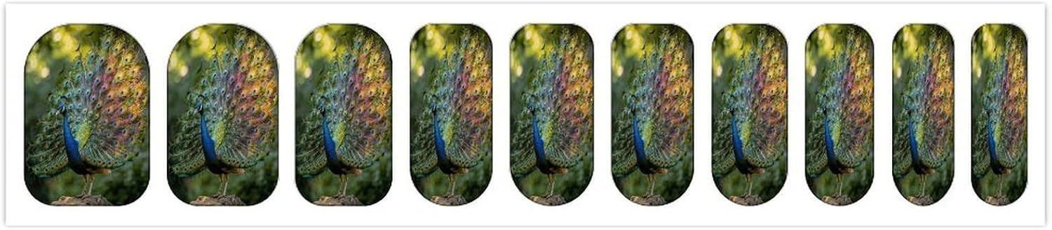 Beautiful PeacockSummer Nail Stickers Nail Strips | Nail Art Stickers of 10 sets with decorate fingernails,toenails,artificial nails Full Cover Easy On-Off Non-Damaging