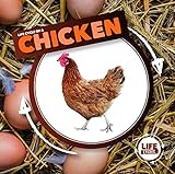 Life Cycle of a Chicken (Life Cycles)