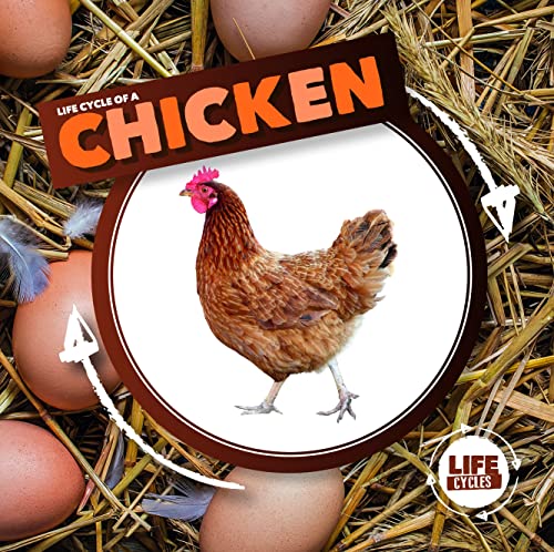 Life Cycle of a Chicken (Life Cycles)