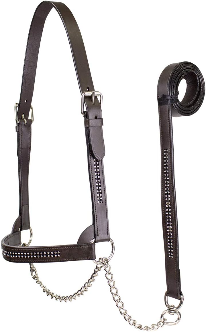 Derby Originals New and Improved Premium Crystal Bling Rhinestone Inlay Flat Leather Cattle Show Halter with Matching Chain Lead