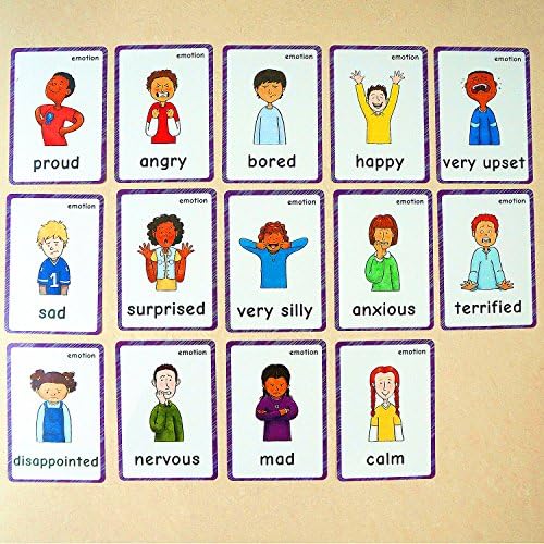 14 Pcs Feelings and Emotions Flashcards for Kids -Sentiment Cards- Preschool Educational Learning Toys(First Words Flash Cards & Memory Game Flash Card for Children ),12x9cm