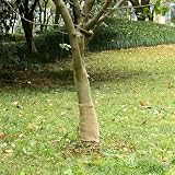 Mangloder Jutegewebe 0,25 x 15 m 100% Jute 200 g/m², natürliche Dekoration für Basteln, Tischläufer, Geschenkverpackung, Kränze, rustikale Wohnideen und saisonale Projekte