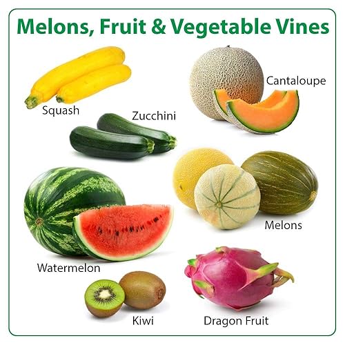 Miniatura 5 de GRF 13-13-13 NPK Fertilizante granular (3 libras)