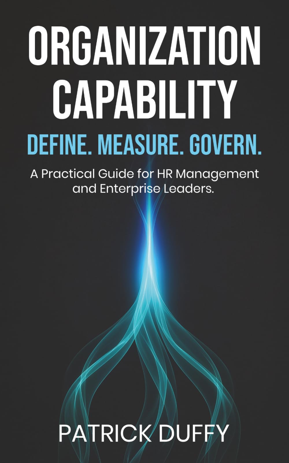 Organization Capability: Define. Measure. Govern. A Practical Guide for HR Management and Enterprise Leaders (Vita Viri Organization & People)