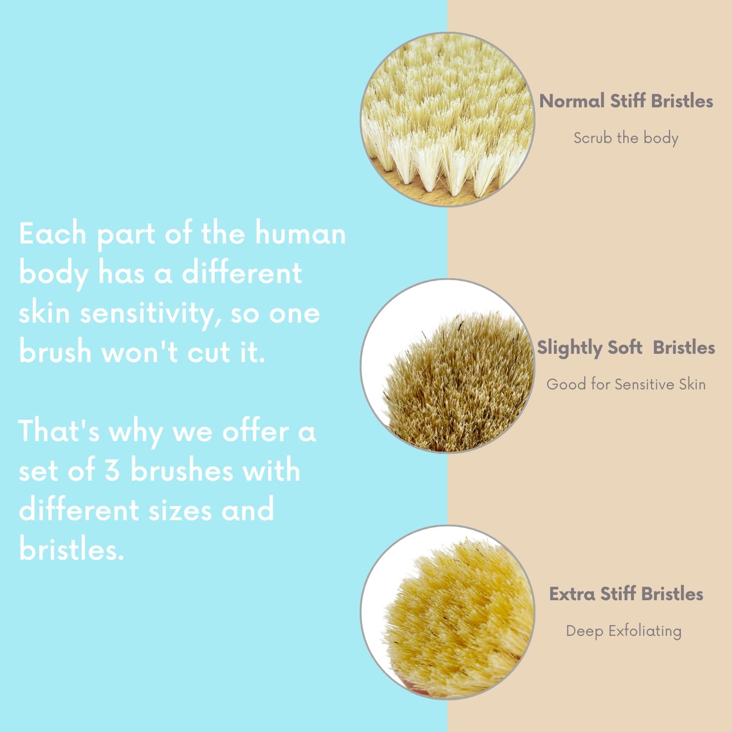 4pcs Dry Brushing Body Brush Set for Lymphatic Drainage-Natural Bristle Dry Skin Brush +Facial Dry Brush for Face+Dry Skin Exfoliating Scrubber+Wood Therapy Massage Tool. Gua Sha, Anti-Cellulite. - Image 8