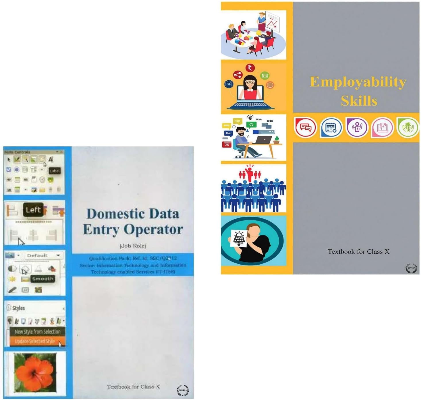 Class 10th CBSE Combo Employability Skill And Domestic Data Entry Operator Textbooks for Class X CBSE (Information Technology And Information Technology Enabled Services)