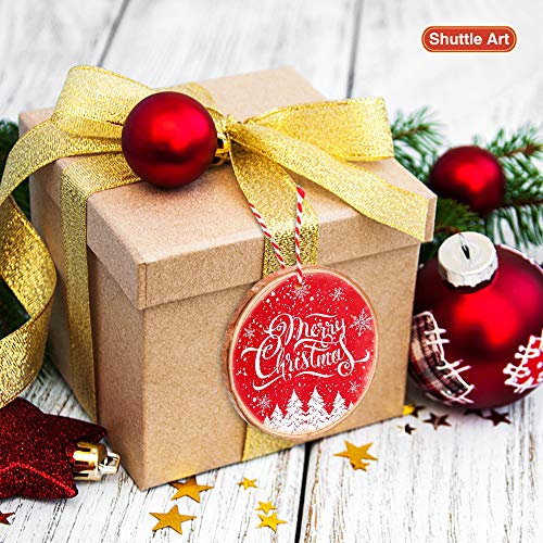 Wood Slices Kit, Shuttle Art 35 Pcs Unfinished Natural Wood Slices With Pre-Drilled Hole, Acrylic Paint, Permanent Markers, Jute Twine, Diy Craft For Kids Adults Holiday Decoration Christmas Ornaments #TOP5