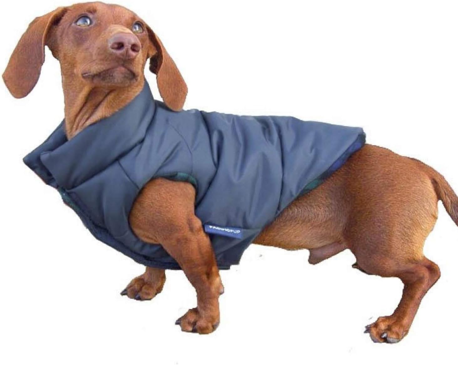 reversible dog coat