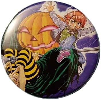 Amazon.co.jp: からくりサーカス 画業30周年記年 藤田和日郎原画