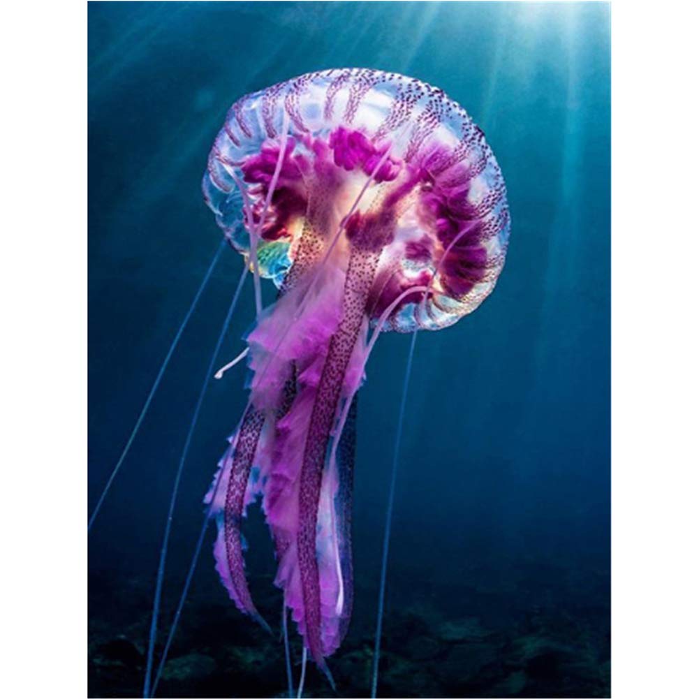 UM UPMALLDiamond Painting Art for Adults Colourful Rainstone Dots Beads Kits for Craft Wall Decor Red Jellyfish 30cm x 40cm