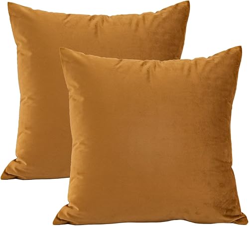 Miniatura 2 de Juego de 2 fundas de almohada acogedoras de terciopelo, fundas de almohada cuadradas decorativas para sofá, dormitorio o automóvil, 18 x 18