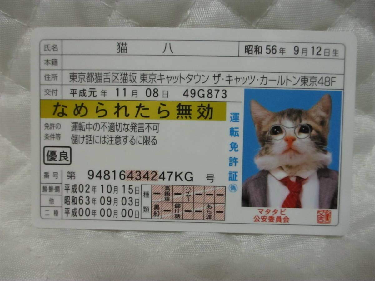 Amazon.co.jp: なめ猫 猫八 免許証 なめられたら無効 ゴールド なめん