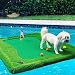 Low Country Pastimes- Float N' Chip 4' x 6' Floating Golf Green- Ultimate Backyard Party Game