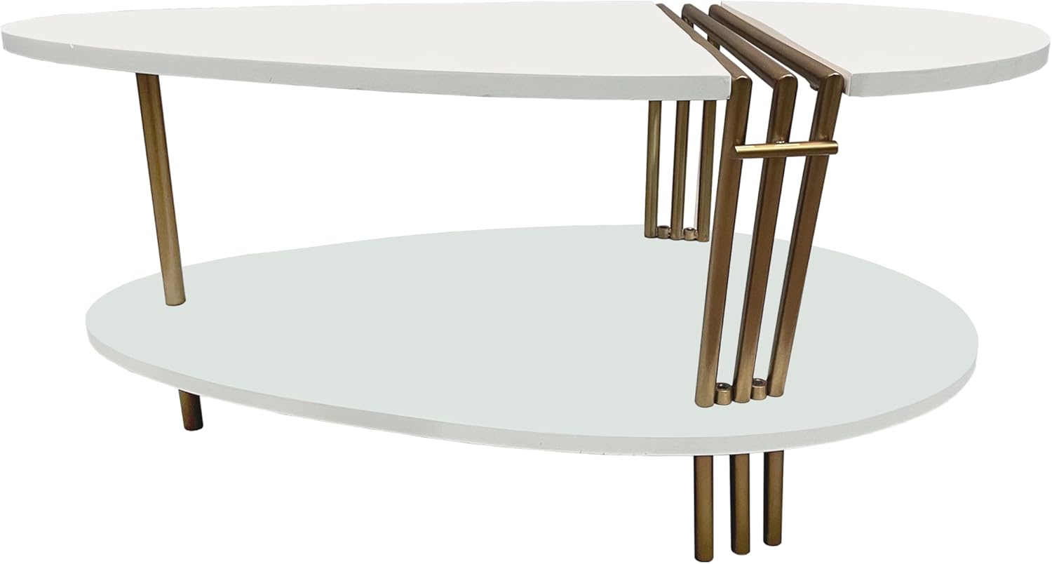 36 Inch Modern Coffee Table, Oval Elliptical Shape, White Mango Wood with Antique Brass