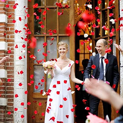 MIAHART 2000pcs Silk Rose Petals Artificial Rose Flower Petals for Valentines Day Wedding Aisle Propose Confetti Bed Table Scatter Romantic Decoration Supply (Dark red)