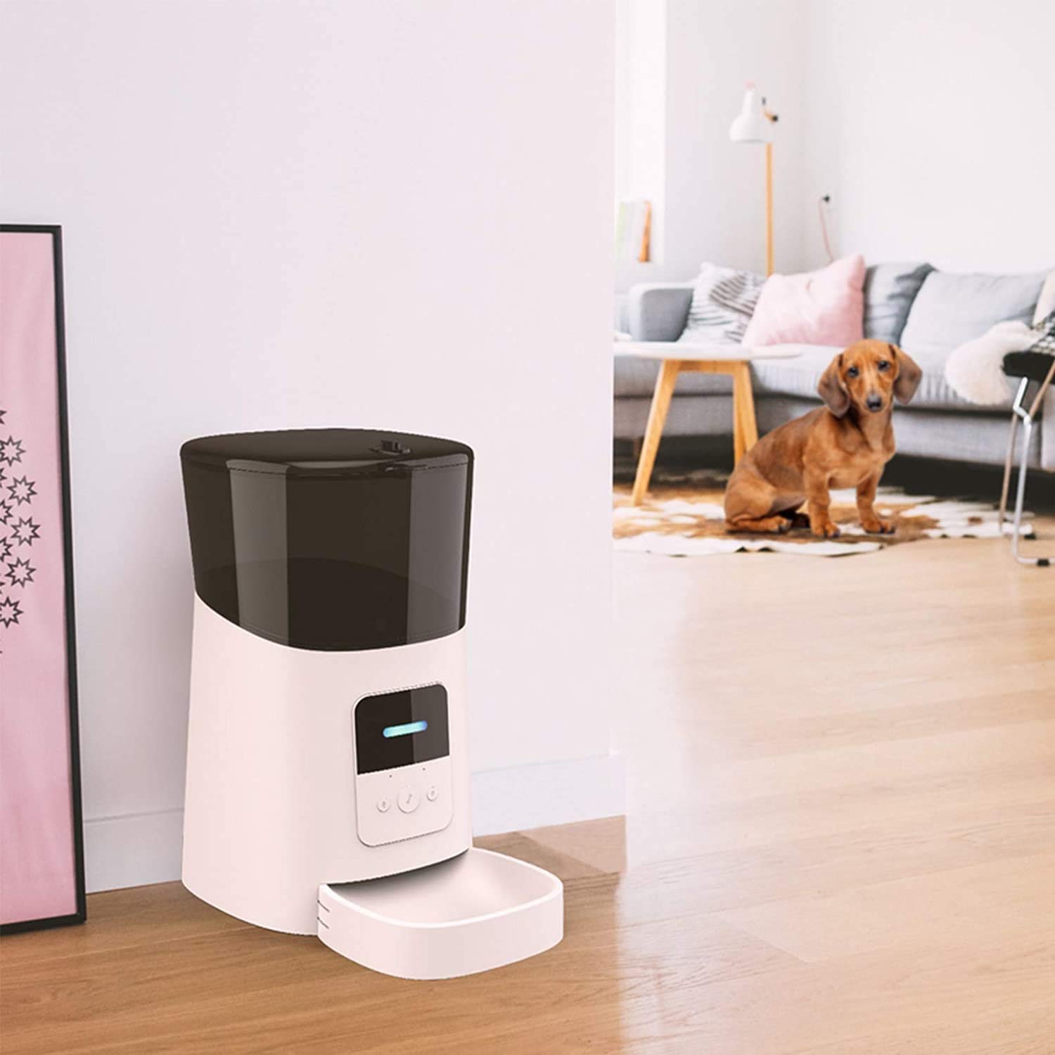 Alimentatore automatico per gatti automatico, Wi-Fi abilitato all'alimentatore per animali domestici intelligente per gatti e cani, con design senza zoccoli Distributore di cibo per cani auto co