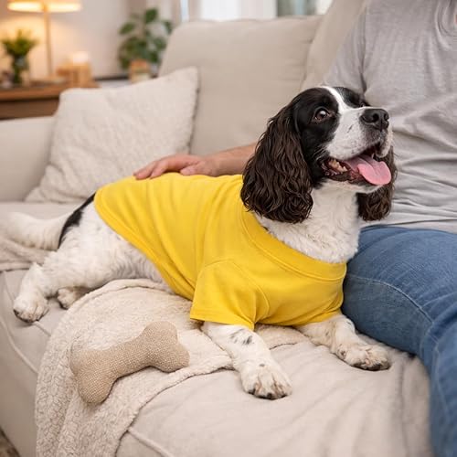 Miniatura 8 de Lovelonglong Ropa para mascotas, disfraces para perros, camiseta básica en blanco para perros pequeños, color amarillo, talla XS