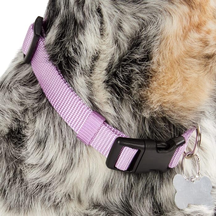 Collar ajustable para perro grande color lavanda miniatura 6