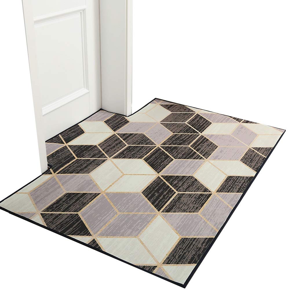 Paillassons pour entrée et tapis de porte intérieur ZRUYI doux 60x120 cm