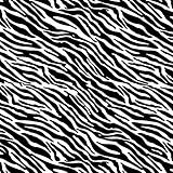 Siser EasyPatterns Heat Transfer Vinyl HTV for T-Shirts 18 by 12 Inches (Zebra Black and White)