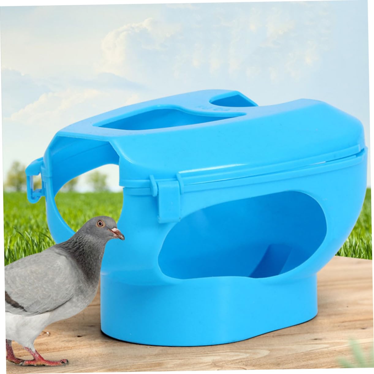 BESPORTBLE Fijadores para Palomas 6piezas Soporte Fijo de PP para Inyección y Alimentación Anillo para Patas, Práctico para Observación y Manejo Cómodo