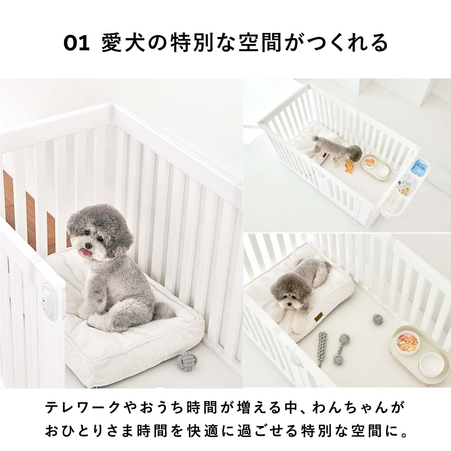 犬用ハウス　モバイルペットルームダブル TAKEMEHOM Amazon.co.jp: Takemehom モバイルペットルーム ダブル バーチベージュ