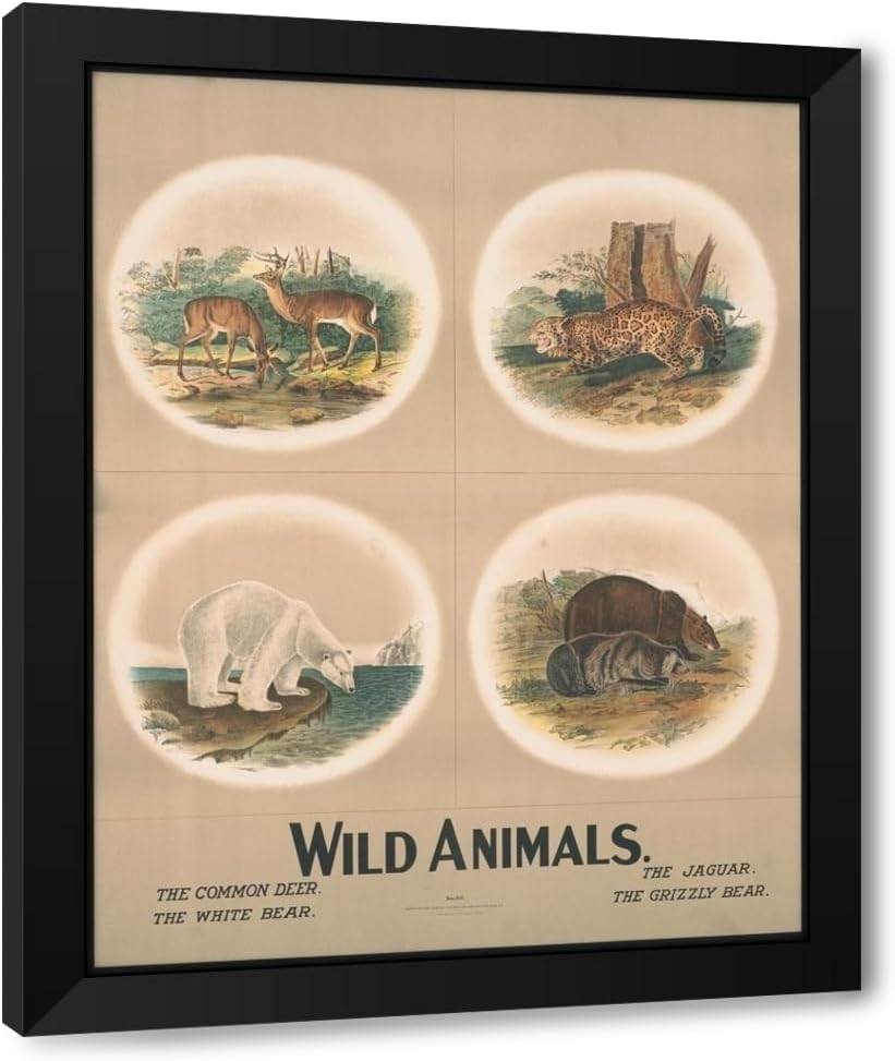 ArtDirect Wild animals no. 29 (1903) Custom Framed Art Print Giclee Print or Canvas Options with Various Sizes and Customization by Nature & Method Publ. Co.
