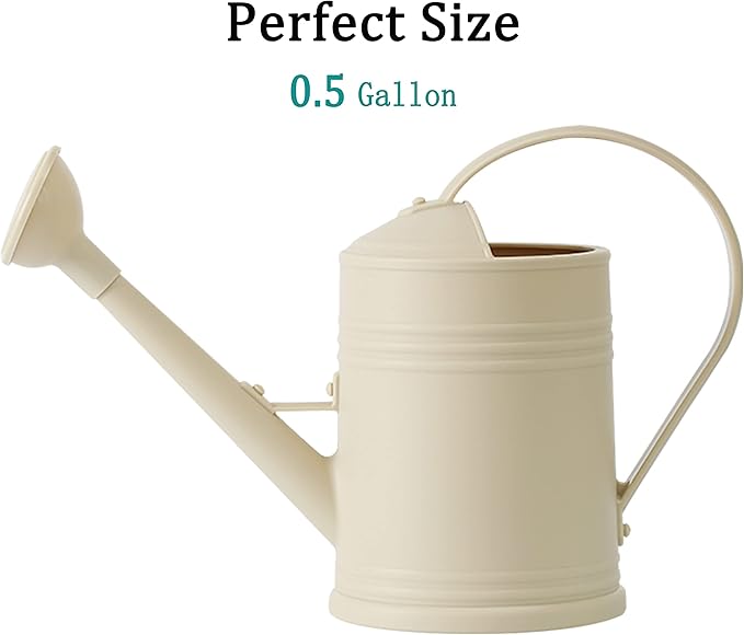 A watering can is a common household tool used to water indoor plants, flowers, and gardens. They typically have a sturdy handle, a spout for pouring water, and a large body to hold water. Watering cans come in various sizes and designs, with some being specifically designed for indoor use.
