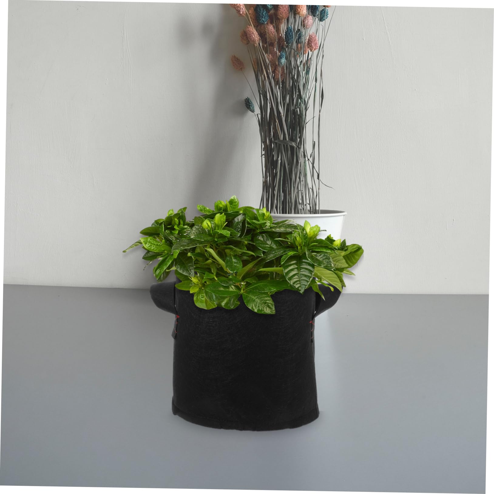 12 Bolsas de Cultivo de 3 Galones para Patatas Macetas para Jardín Macetas para Plantas Macetas para Cultivo de Verduras Tomates Cebollas Flores Y Frutas Varios Estilos