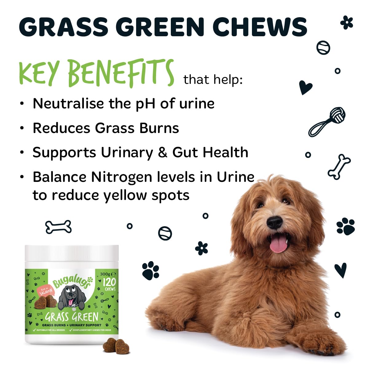 Bugalugs Grass Green Dog Supplement Chews helps support Dog Urine Neutraliser for Grass Burn with Cranberry that helps Urinary & Gut Health - Image 4