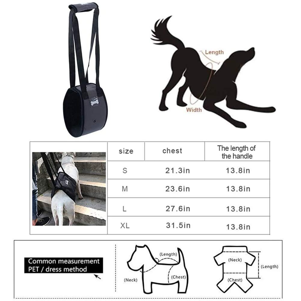 Hond Lift Ondersteuning Draagbaar Harnas Help de hond met zwakke voor- of achterpoten Opstaan, lopen, stappen in auto's traplopen om uit te schakelen Hond Lift Ondersteuning Draagbaar Harnas Help de hond met zwakke voor- of achterpoten Opstaan, lopen, stappen in auto's traplopen om uit te schakelen