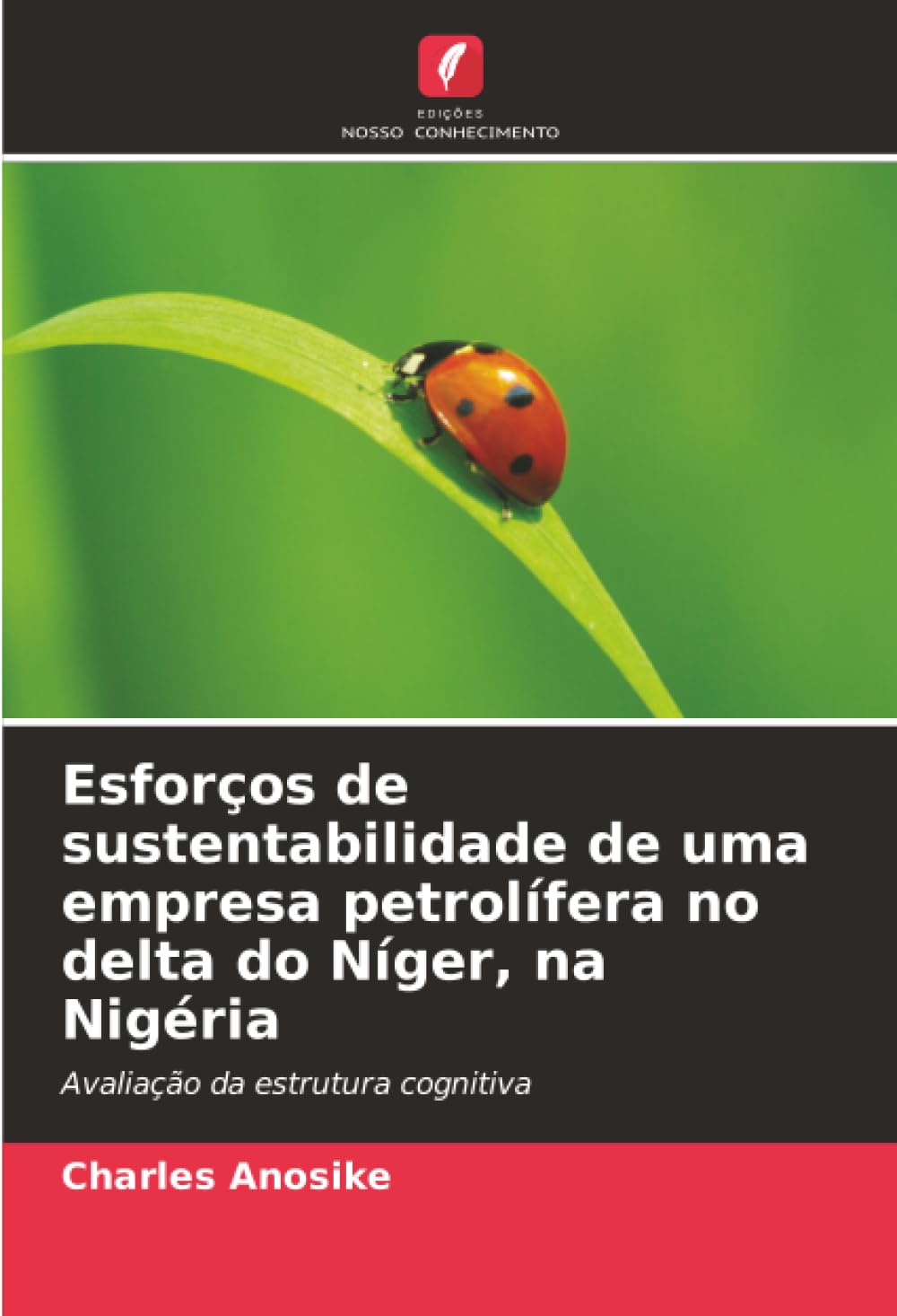 Esforços de sustentabilidade de uma empresa petrolífera no delta do Níger, na Nigéria: Avaliação da estrutura cognitiva