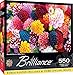 MasterPieces 550 Piece Jigsaw Puzzle for Adults, Family, Or Kids - Beautiful Blooms - 18
