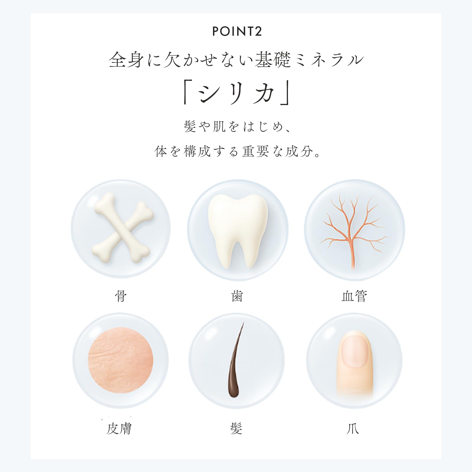 Amazon | ZIP KaguyaHime-Keiso 水溶性ケイ素 シリカ 濃縮溶液 高濃度