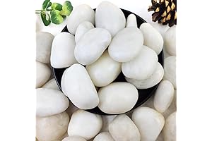 2-3 Inch Natural White River Rocks