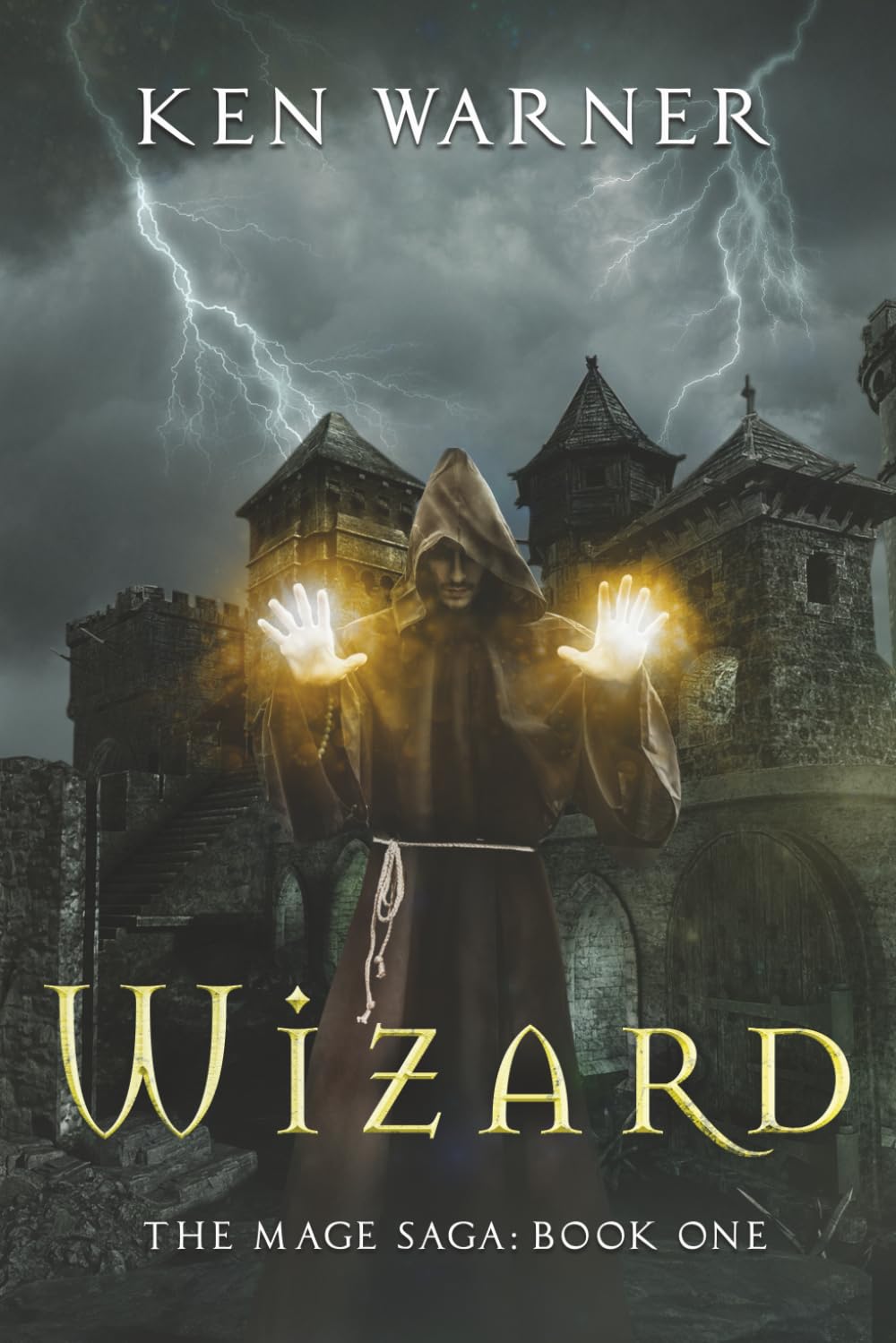 Wizard: 1 (The Mage Saga)