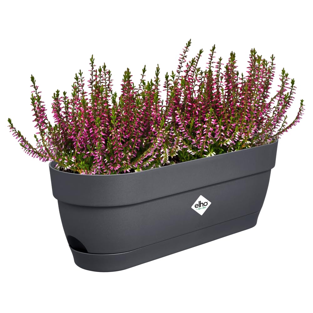 elho Vibia Campana Trough 50cm Planter - Anthracite