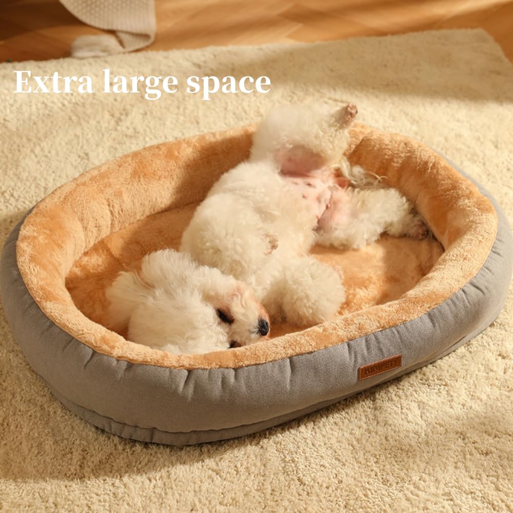 سرير كبير للقطط والكلاب، سرير للكلاب مع وسادة قابلة للازالة، سرير قطط دافئ ومريح للاستخدام الداخلي للحيوانات الاليفة، عش القطط، وسادة قبة، نوم ناعم، اسرة كلاب مقاومة للقلق، سرير للحيوانات الاليفة قابل